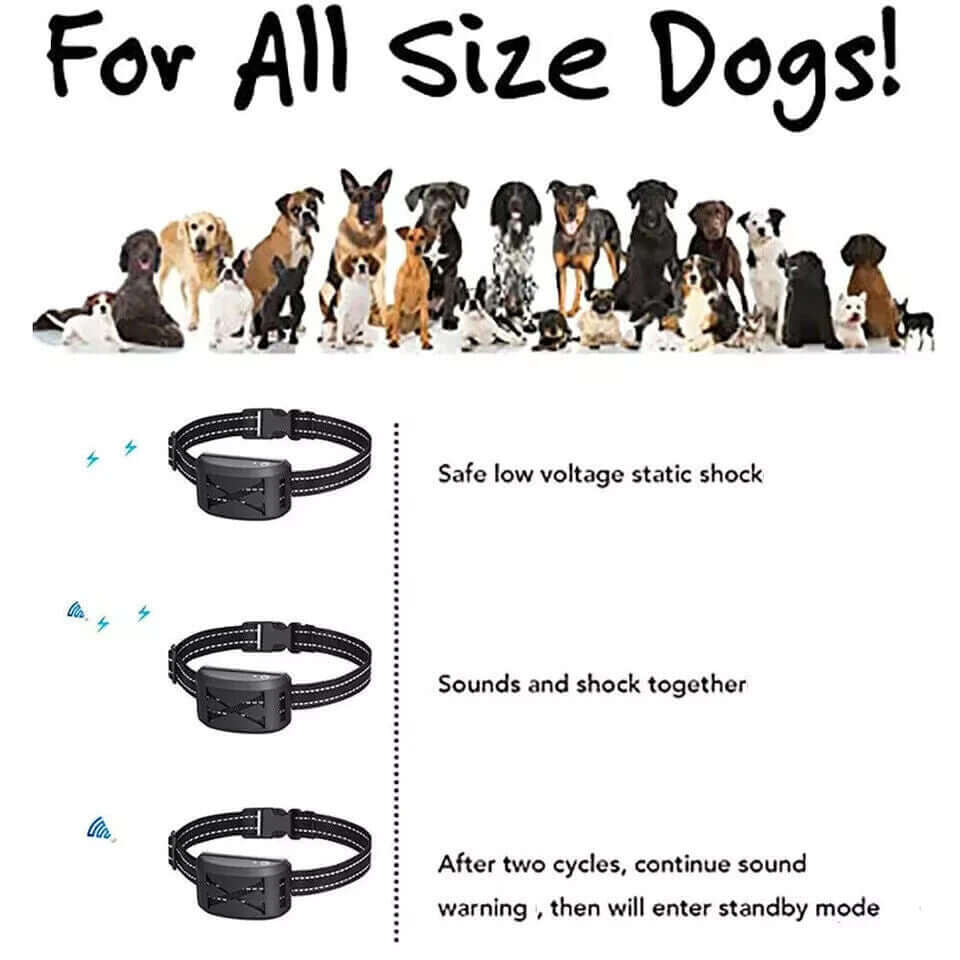 Pets